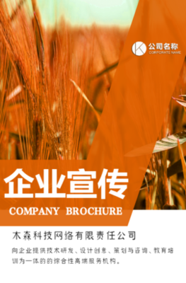 木森網(wǎng)絡(luò) 以城市智慧基因，驅(qū)動(dòng)數(shù)字創(chuàng)新未來
